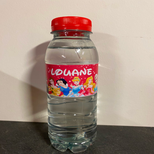 Bouteille d'eau Thème Princesse Disney Bouteille d'eau Thème Princesse Disney